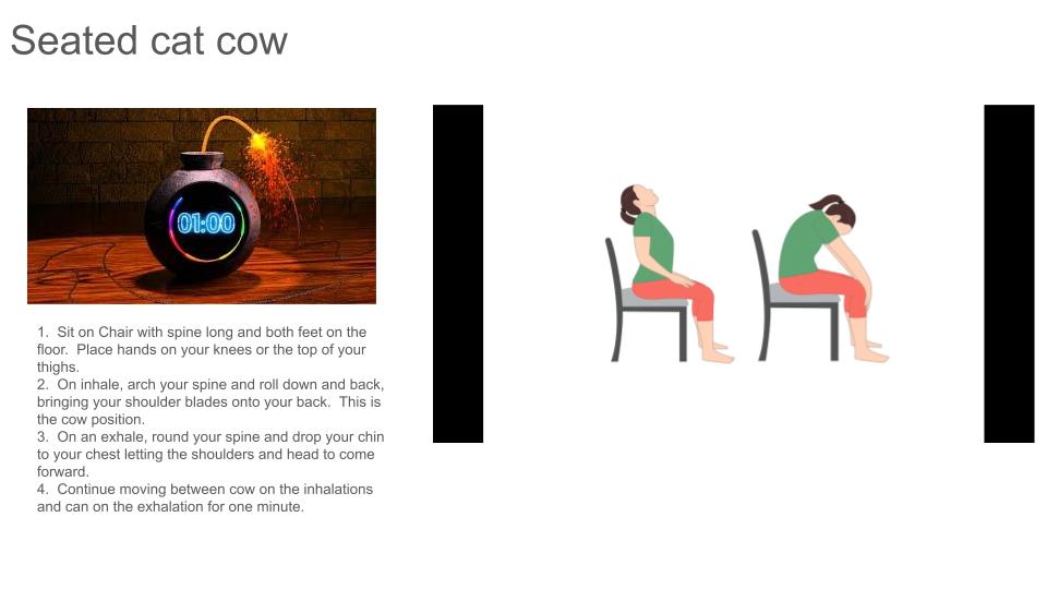 digital slide show of seated work out (red Jasper package)